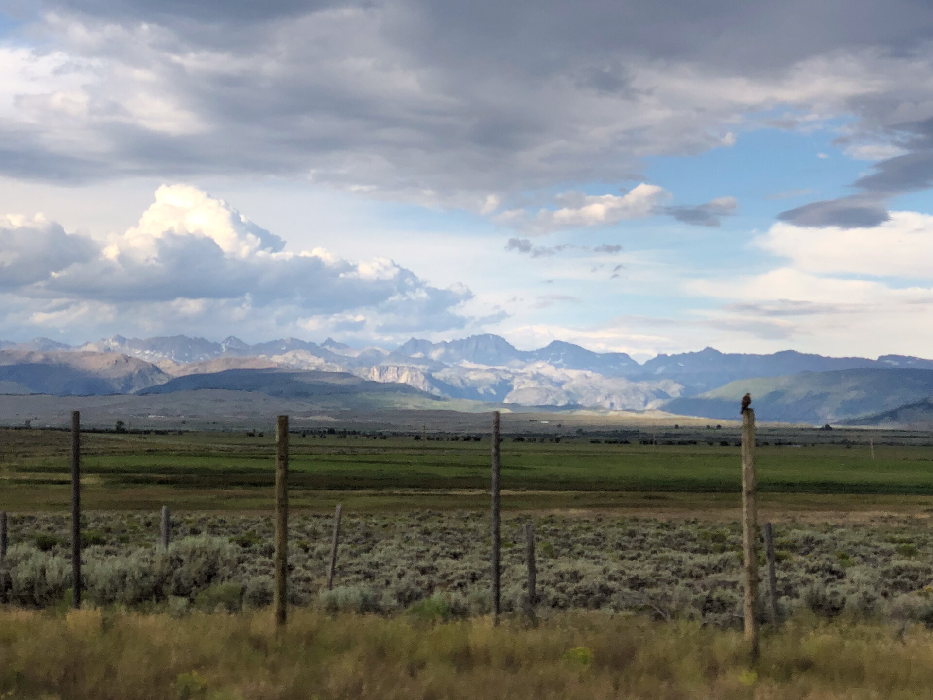Landscape view