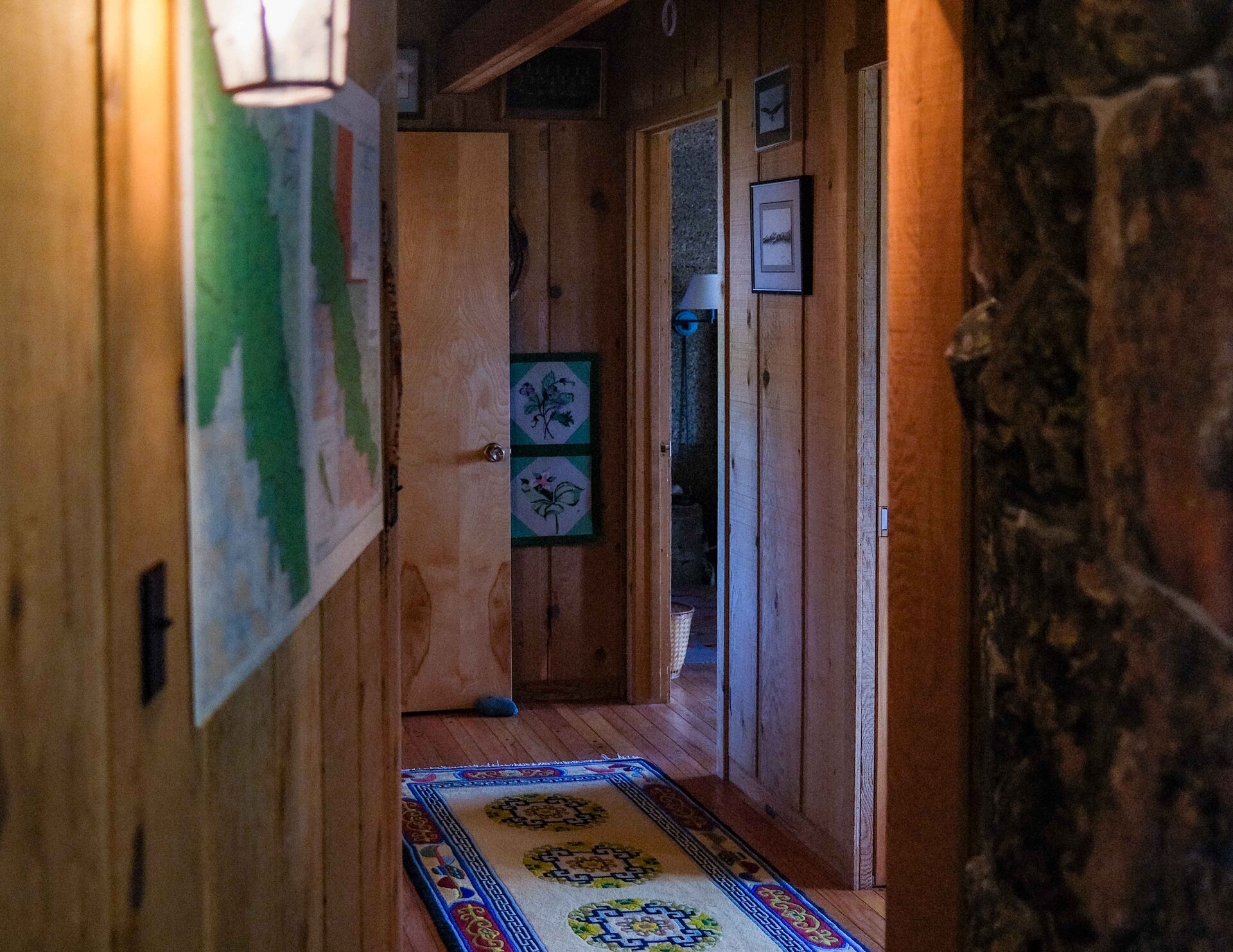 Interior window with wooden shutters and aspen trees beyond